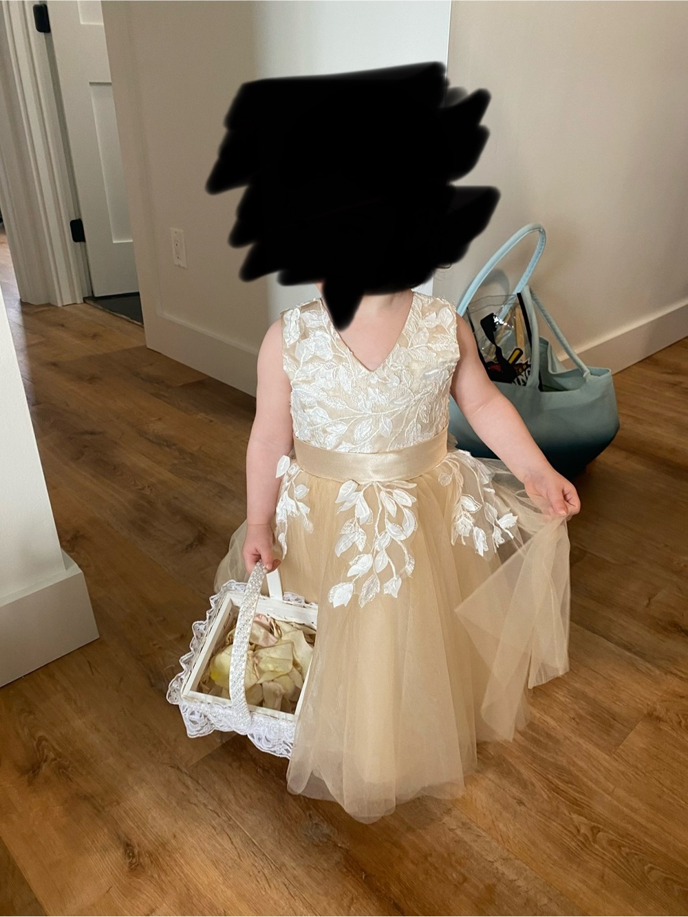 Girls' Cream Lace & Tulle Formal/Flower Girl Dress with Satin Waistband/Bow